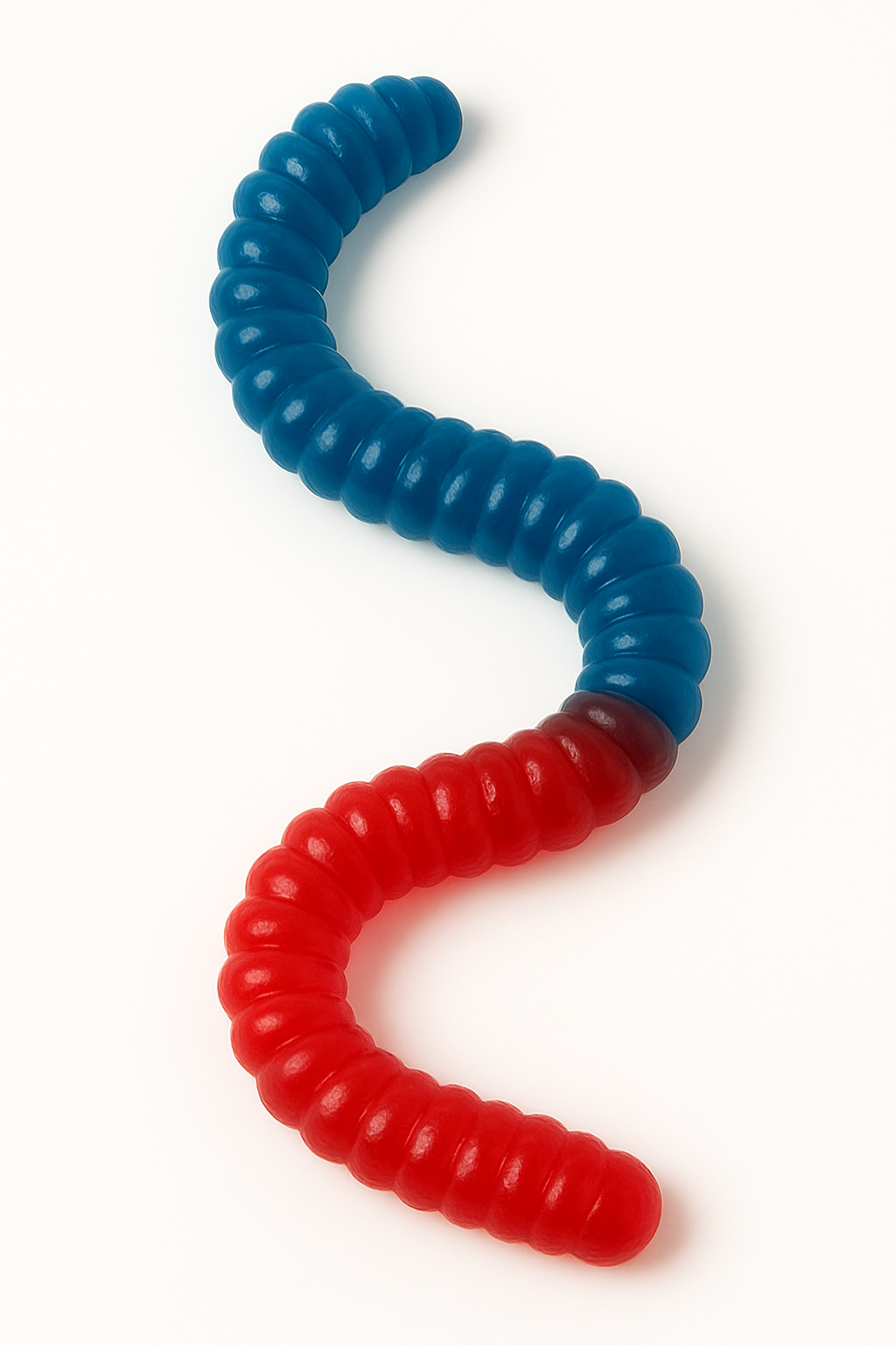 The Giant 3-Pound Gummy Worm®