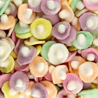 Fruit Mushroom