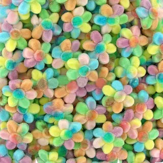 Sweet Multicolored Flowers