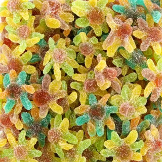 Octopus sour octopuses