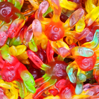 Smooth Octopus Octopus